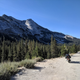 Illustration for article titled Motorcycle Road Trip, Day 8: Yosemite